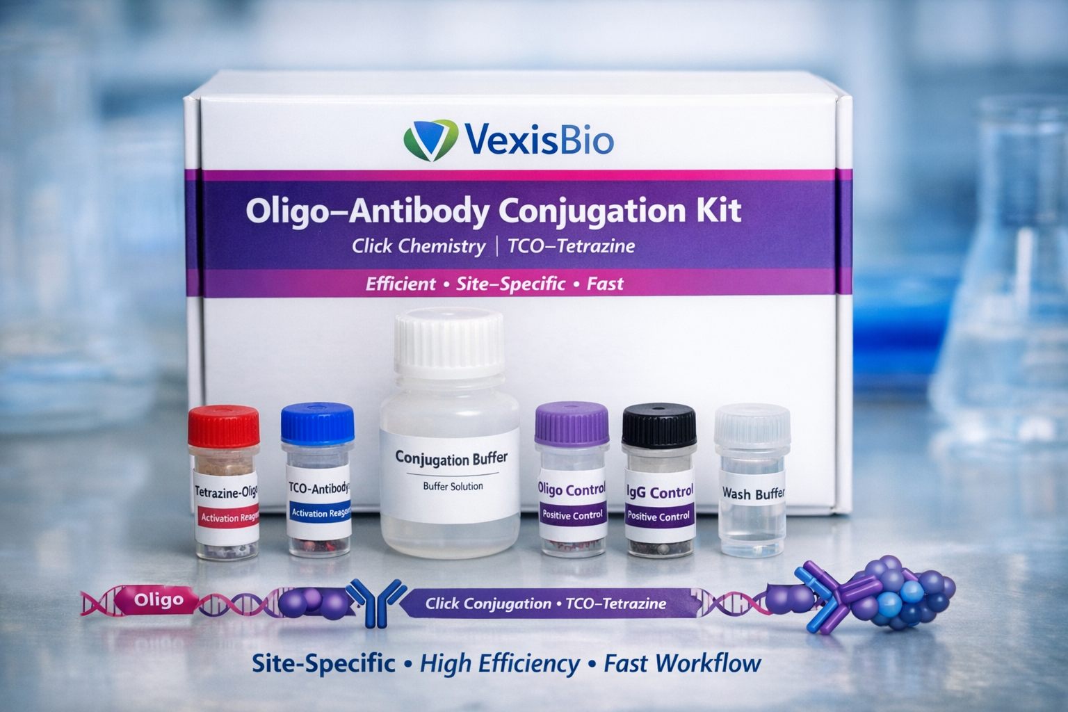 Oligo antibody conjugation kit